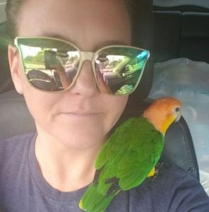 Meet your Posher, Mel